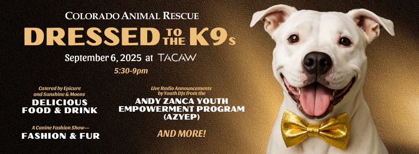 Dressed to the K9s 2025